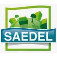 Saedel